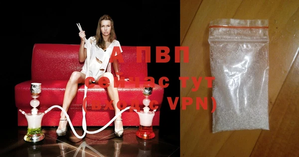 PSILOCYBIN Нефтегорск