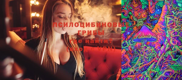 PSILOCYBIN Ессентукская
