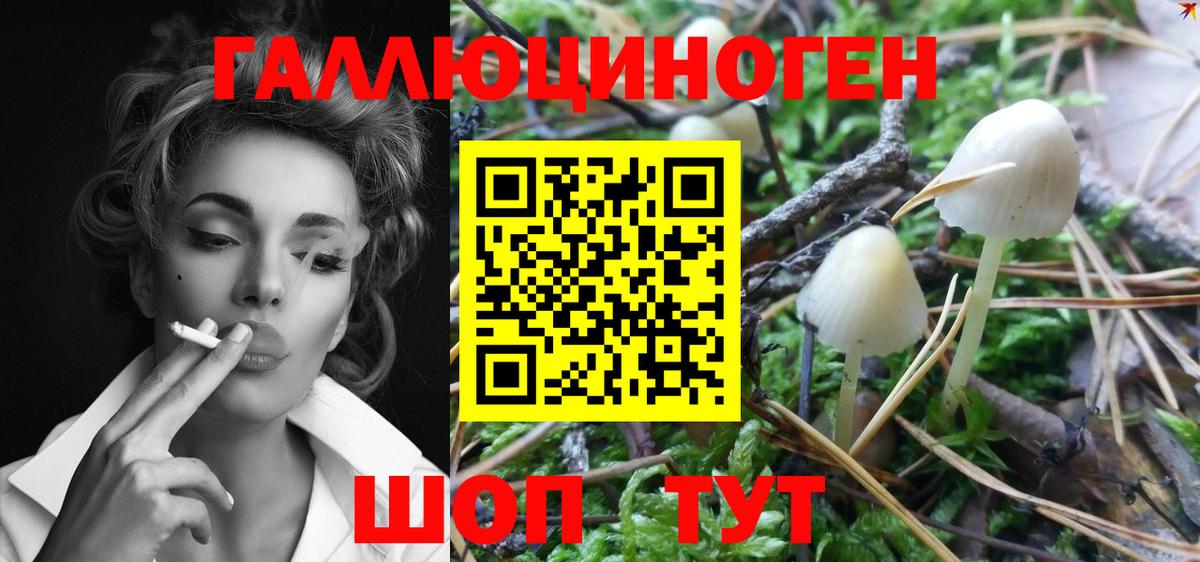 Похвистнево  Галлюциногенные грибы MAGIC MUSHROOMS  Вход с VPN 